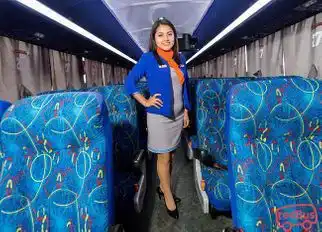 Instabus Bus-Seats Image