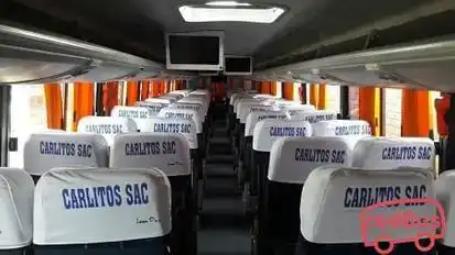 Internacional Carlitos Bus-Front Image