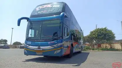 Cial Bus Bus-Front Image