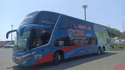Cial Bus Bus-Side Image