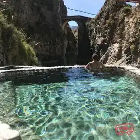 Peru baby lama Bus-Front Image