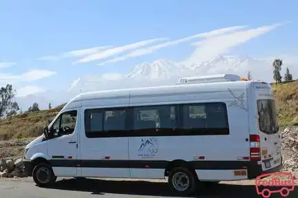 Peru baby lama Bus-Front Image