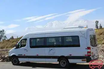 Peru baby lama Bus-Front Image