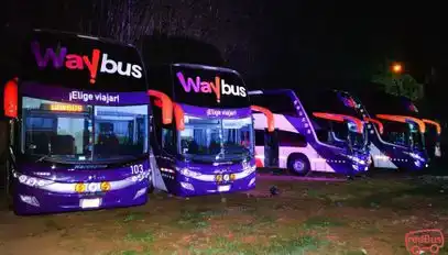 Waybus Bus-Front Image