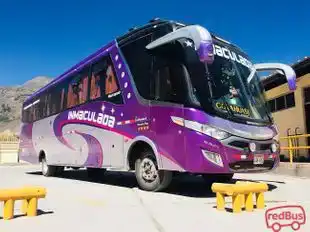Transportes Inmaculada Bus-Side Image