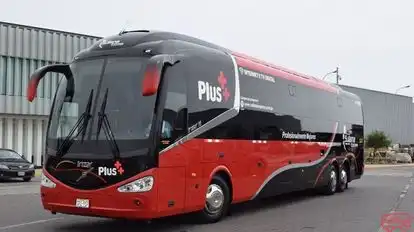 Sullana Express Bus-Front Image