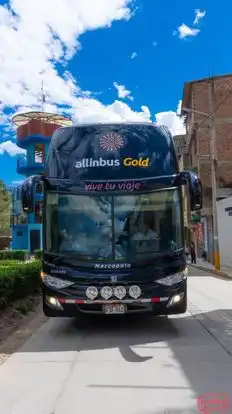 Allinbus Bus-Front Image