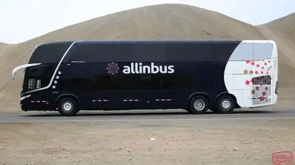 Allinbus Bus-Side Image