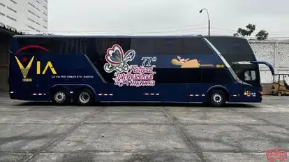 Transportes Via Bus-Side Image