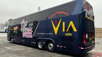 Transportes Via Bus-Side Image