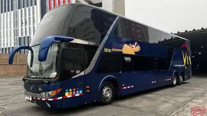 Transportes Via Bus-Side Image