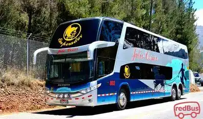Transportes Julio Cesar Bus-Seats Image