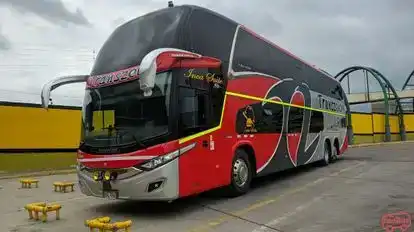 Transzela Bus-Front Image