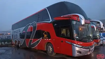 Transzela Bus-Front Image