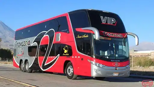 Transzela Bus-Front Image