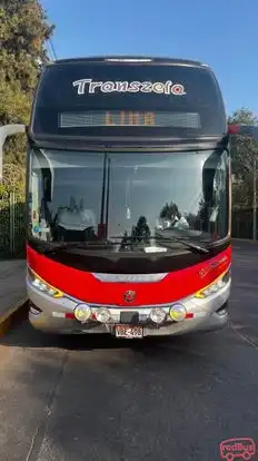 Transzela Bus-Front Image