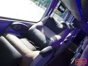 Turismo Carhuamayo Bus-Seats Image