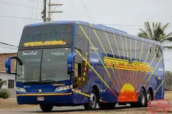 Turismo Telsol Bus-Seats Image