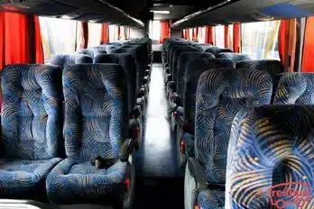 Turismo Telsol Bus-Seats Image
