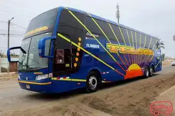 Turismo Telsol Bus-Seats Image
