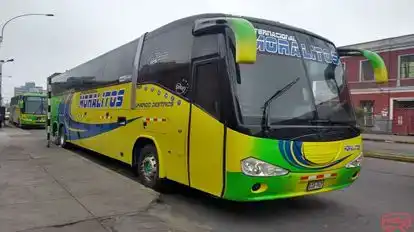 Internacional Moralitos Bus-Front Image