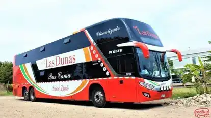 Tour Las Dunas Bus-Side Image