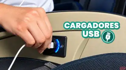 Vía Pacífico Bus-Amenities Image