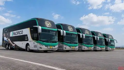 Vía Pacífico Bus-Front Image