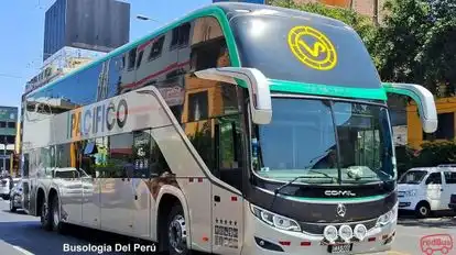 Vía Pacífico Bus-Front Image