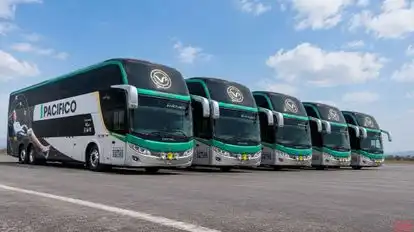 Vía Pacífico Bus-Front Image