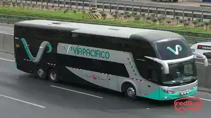 Vía Pacífico Bus-Front Image