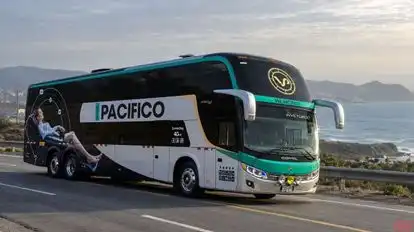 Vía Pacífico Bus-Side Image