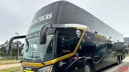 Anita Tours - Continental Pacífico Bus-Front Image