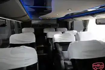 Turismo Alvarado Bus-Seats Image