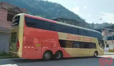 Divino Señor Tours Bus-Front Image