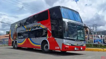 Transportes Mendo Bus-Front Image
