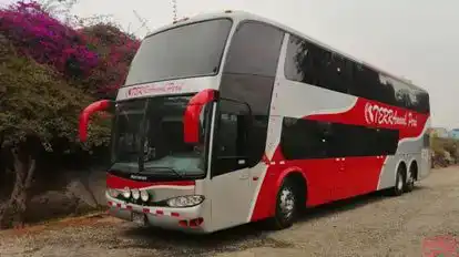 TERRAmovil Peru Bus-Front Image