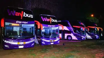 WayBus Bus-Front Image