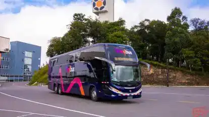 Waybus Bus-Front Image