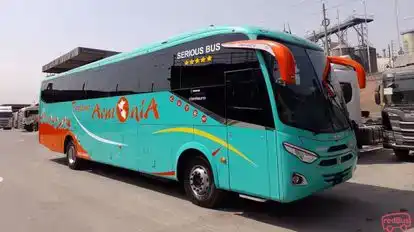 Turismo Armonia Bus-Front Image