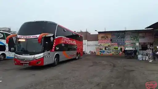 Oropesa Bus-Front Image