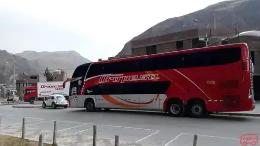 Oropesa Bus-Front Image