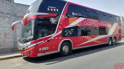 Oropesa Bus-Side Image