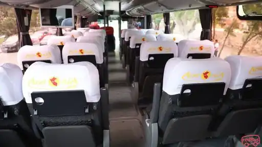 Tour Armonía Bus-Front Image