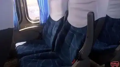 Turismo Ampay Bus-Seats Image