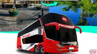 Peruvian Bus Bus-Side Image