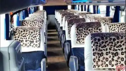 Peruvian Bus Bus-Seats Image