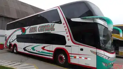 Selva Central Bus-Side Image