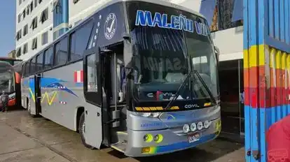 Maleño Vip Bus-Front Image