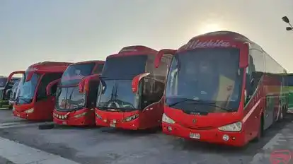 Mechita Bus-Front Image